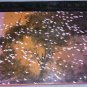 Signed WILD CALIFORNIA-VANISHING LANDS, VANISHING WILDLIFE A S Leopold T A Blake