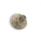 knob3-Gold Carioca