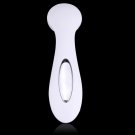 Iontophoresis Instrument Facial Massager Cleansing Beauty Machine