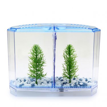 BBT3 Twin Betta Bow Front Tank Aquarium Kit