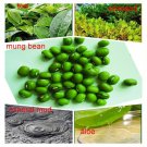 AFY Facial Moisturizer Mineral Mud Mung Bean Mask Whitening