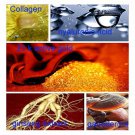 AFY 24K Gold Anti Aging Skin Care Facial Revive Treatment Essence