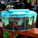 Aquarium Mini LED Light Fighting Fish Tank Three Colors