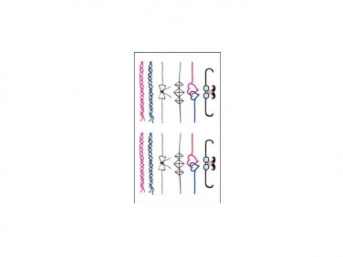 Colorful finger tattoo ring design fake tattoo art for girls , cute small tattoo sticker