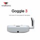 FPV Goggles