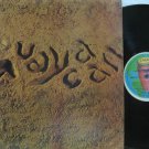 GUAYACAN latin america LP RMM