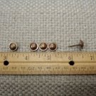 Standard Fancy Old Brass Upholstery Nails  - 5/8" Shank