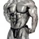 Muscle Buiding