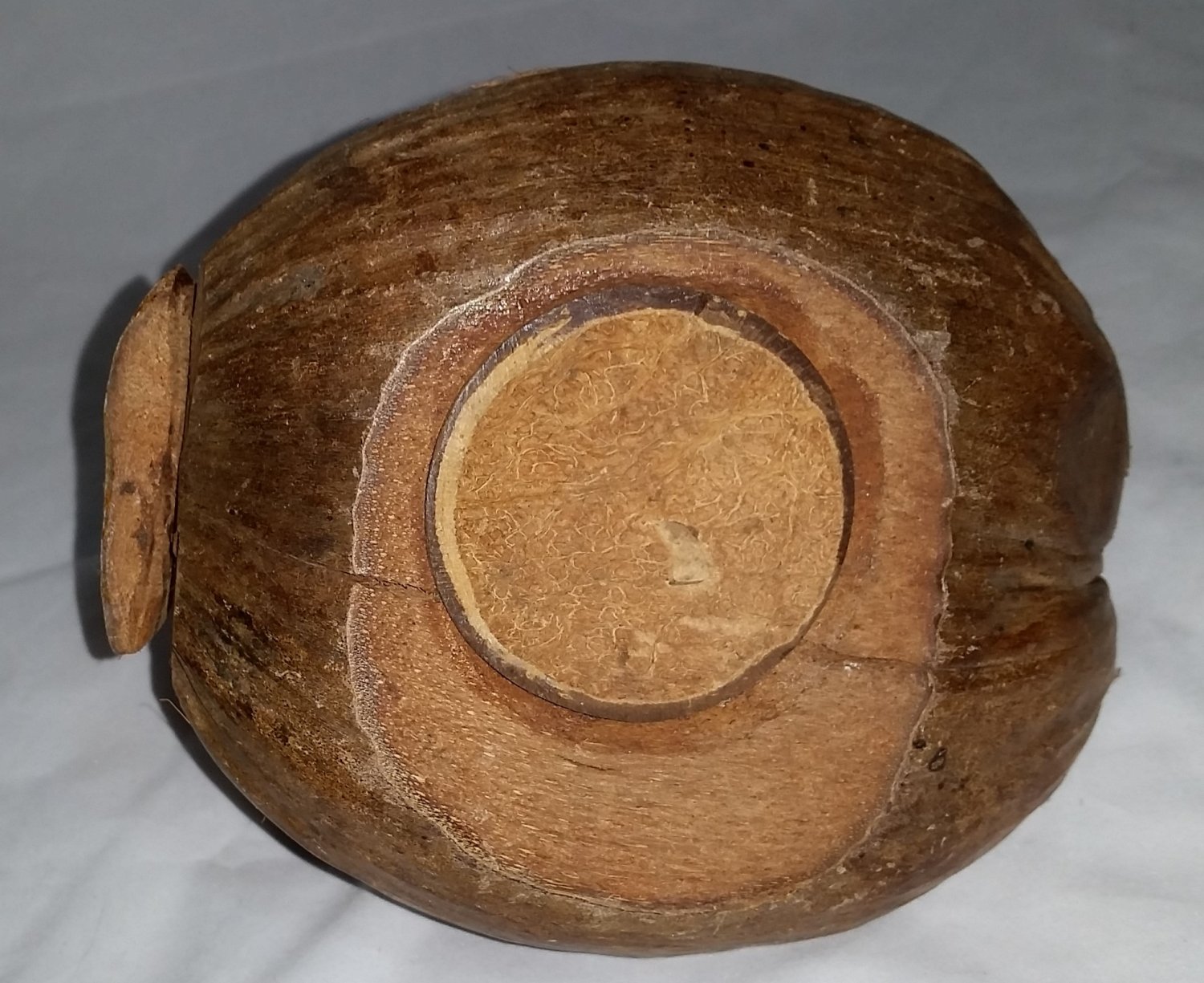 Vintage Hawaiian Dolphin Coconut Coin Bank