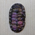ACB20 - Squampoleura miles 16.65mm