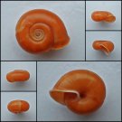 ABB33 - Chloritis Species 20.42mm