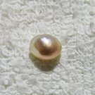 PA08 - WILD PTERIA PENGUIN'S PEARL 1.35cts
