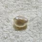PA08 - WILD PTERIA PENGUIN'S PEARL 1.35cts