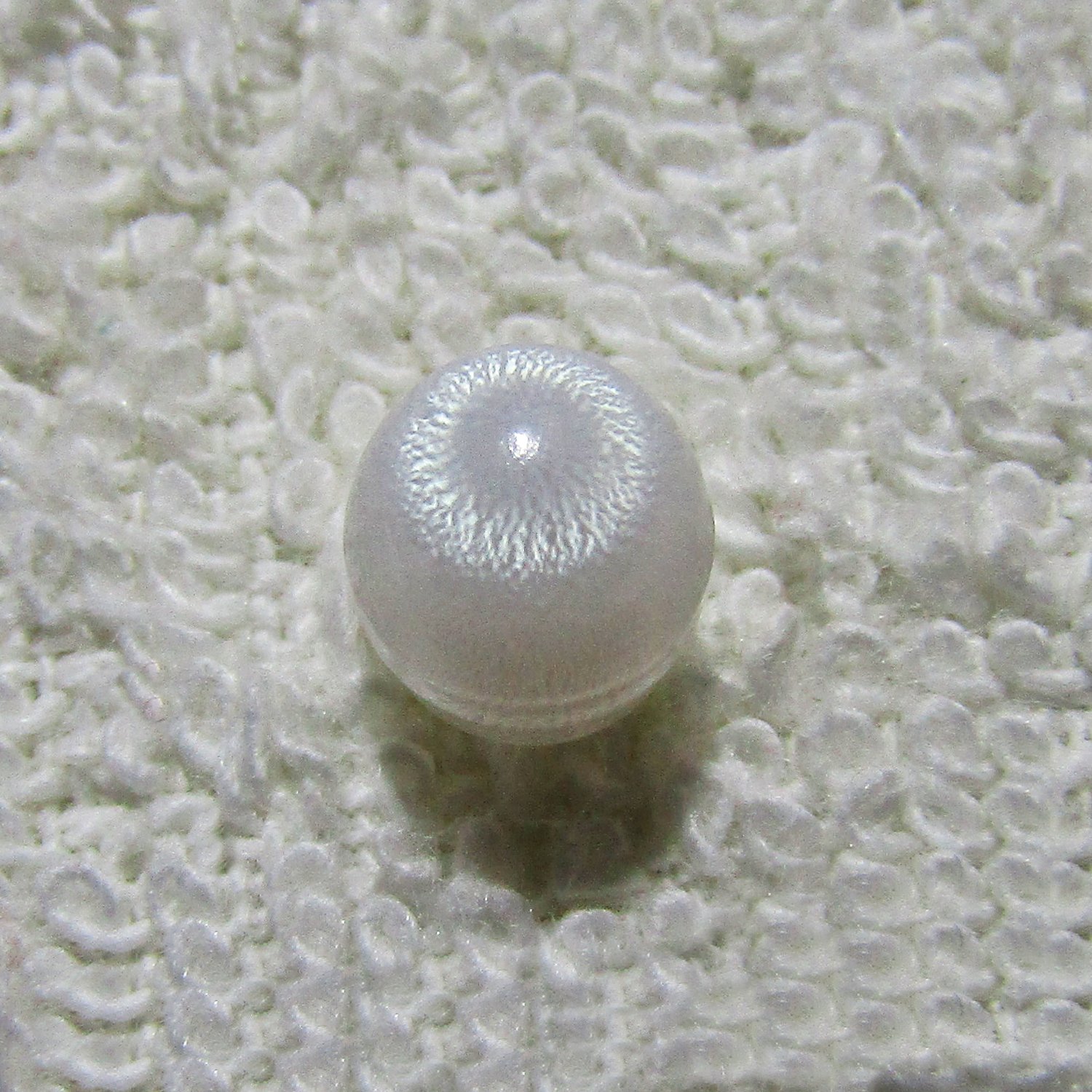 PB04 - WILD CLAM'S PEARL 2.60cts
