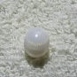 PB04 - WILD CLAM'S PEARL 2.60cts