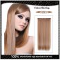 COLOR#27/613 Five Card Hairpiece 120g High Temperature Wire Synthetic Straight Hair Extension