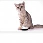 Blue Pet Food Toy Training Meal Call Dog Puppy Trainer Cat Footprints Ring The Bell