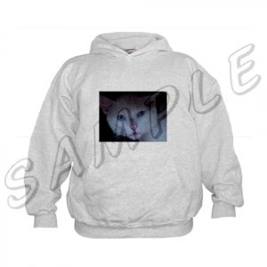 Jr. Hoodie