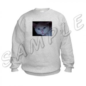 Ash Grey Sweatshirt