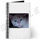 Journal