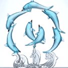 Playful Dolphins