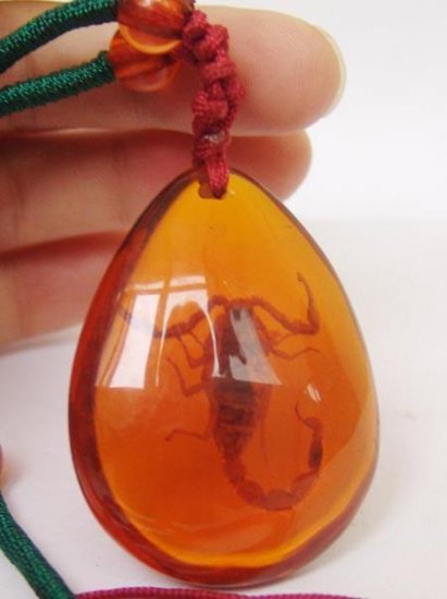 Genuine TIbetan Amber Scorpion Pendant Necklace