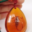 Genuine TIbetan Amber Scorpion Pendant Necklace