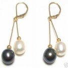 Charming white and black seashell pearl earring