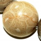 6mm Natural Round Fossil Gemstone Loose Beads