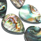 14mmm Drop Abalone Shell l loose beads
