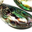 38-48mm Charming Abalone Freeform Shell Jewelry Beads