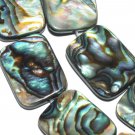16mmm Abalone Shell l loose beads
