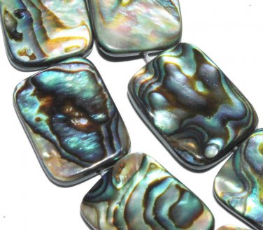 16mmm Abalone Shell l loose beads