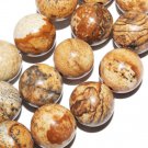10mm Natural Picture Jasper round gemstone Loose Beads