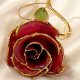 Rose and Orchid stems