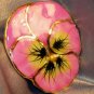 Lacquered and 24 karat gold-plated Real Pansy brooch-pendant hybrid