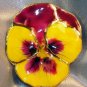Lacquered and 24 karat gold-plated Real Pansy brooch-pendant hybrid