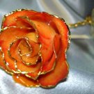 APRICOT coloured real ROSE - Lacquered & 24k gold-plated