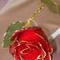 REAL RED ROSE stem - Lacquered & 24k gold-plated
