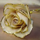 Lacquered & 24k gold-plated white rose with HEART stem