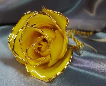 Lacquered & 24k gold-plated REAL Yellow ROSE