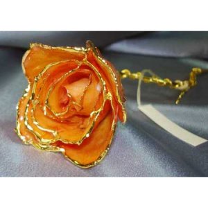 Lacquered & 24k gold-plated REAL Apricot ROSE