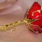Lacquered & 24k gold-plated REAL RED ROSE