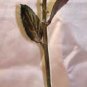 Unique real lacquered GREEN rose stem