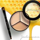 Jealousness Advanced Corrective Concealer Palette EX