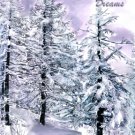 White Christmas Dreams - Watercolor Greeting Cards - Box of 8 5inch by 7inch greeting cards