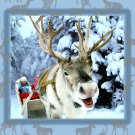 Happy Reindeer Christmas Card