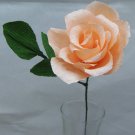PREORDER - Single Peach Full Bloom Rose
