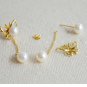 925 sterling silver / gold Butterfly pearl studs earring for women AAA quality