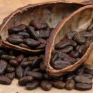 Fresh Dry Cocoa Bean, 500gr
